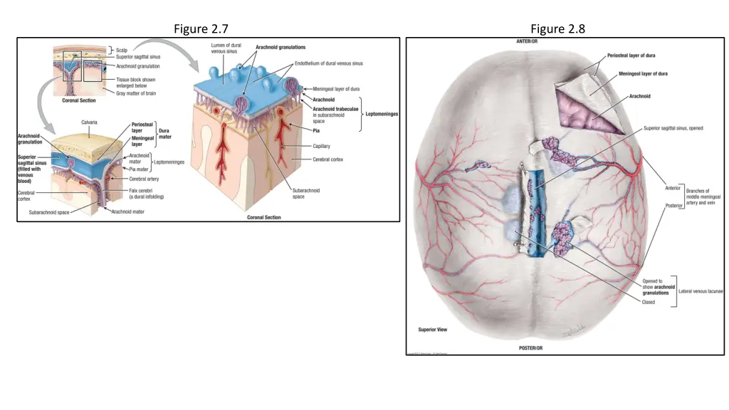 figure 2 7