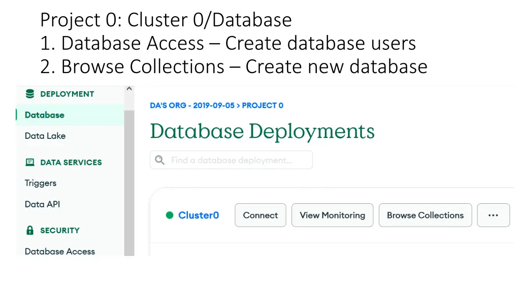 project 0 cluster 0 database 1 database access