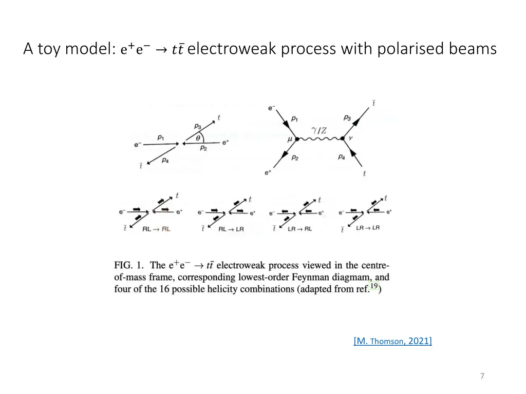 a toy model e e electroweak process with