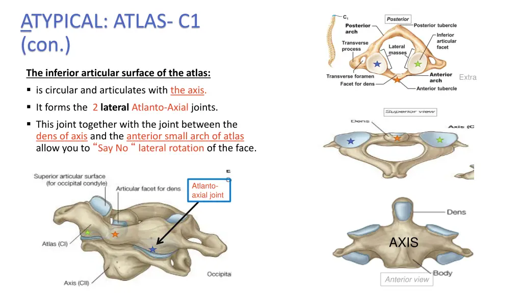 atypical atlas c1 con