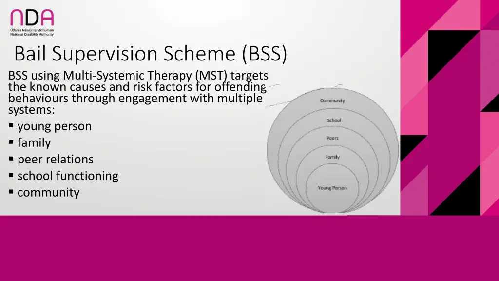 bail supervision scheme bss