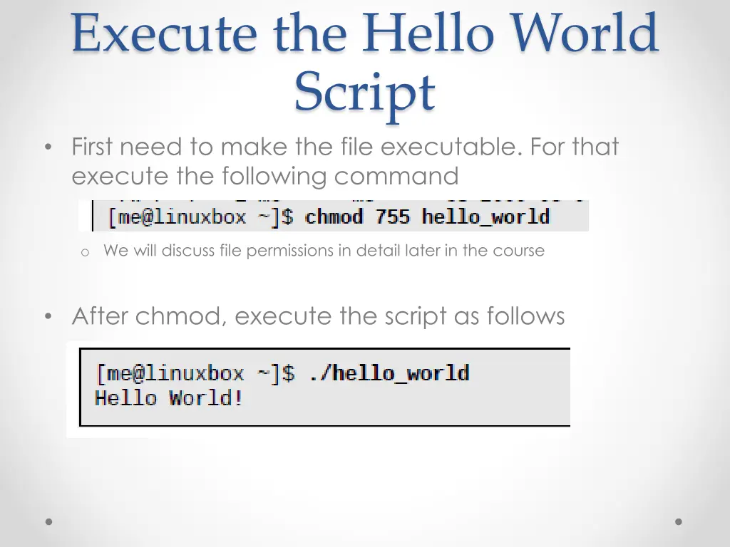 execute the hello world script first need to make