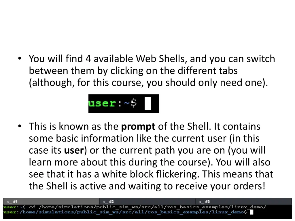 you will find 4 available web shells