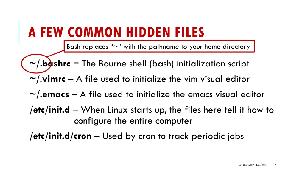 a few common hidden files bash replaces with