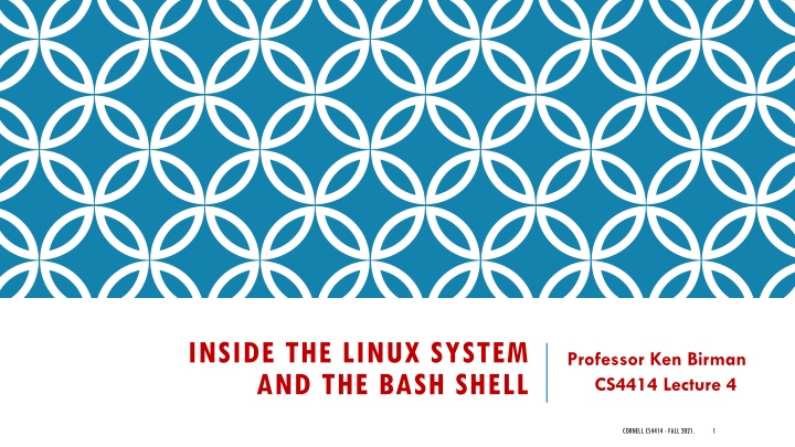 inside the linux system and the bash shell