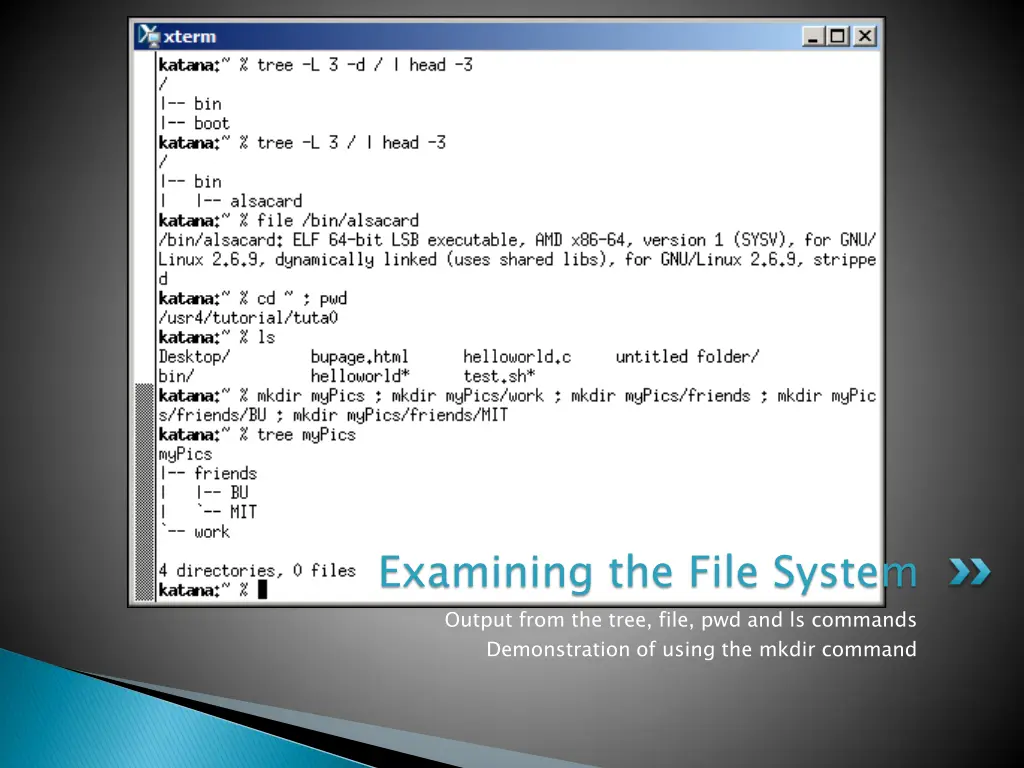 examining the file system