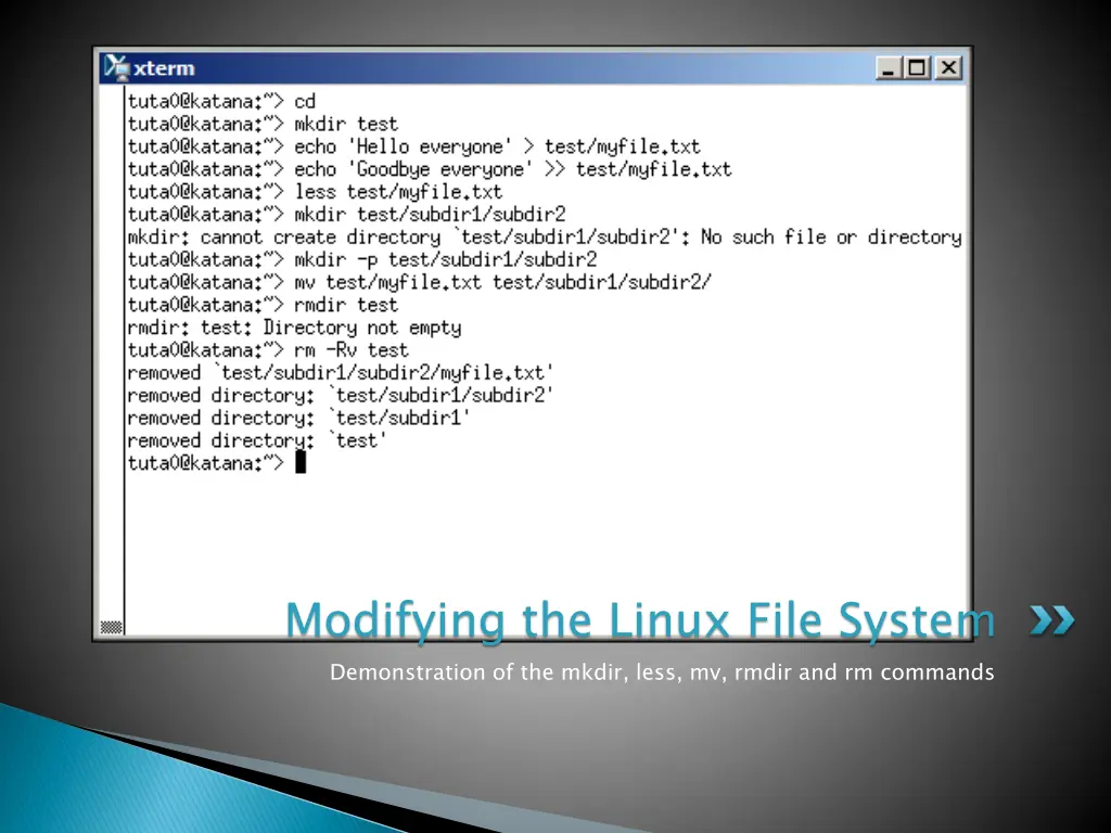 modifying the linux file system