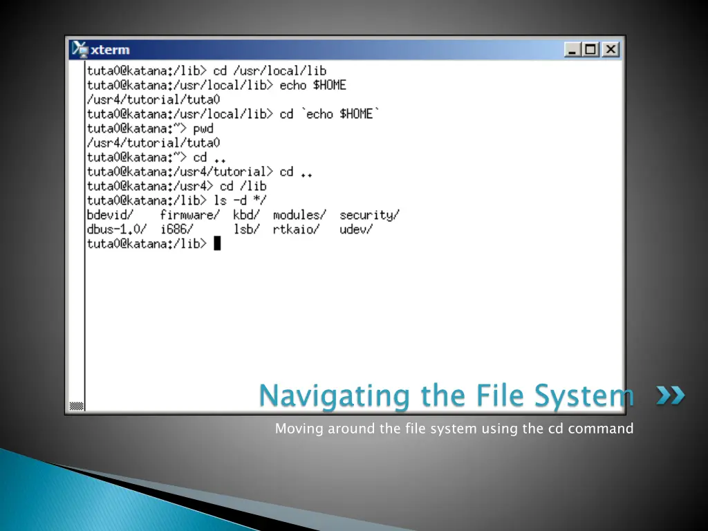 navigating the file system