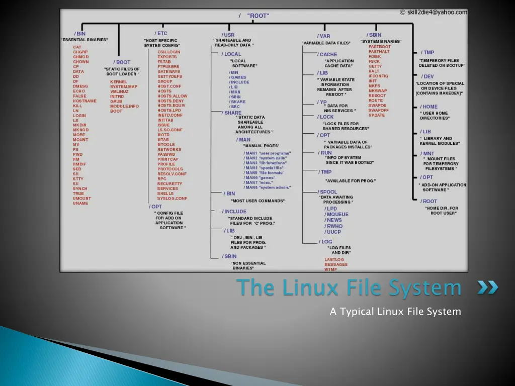 the linux file system