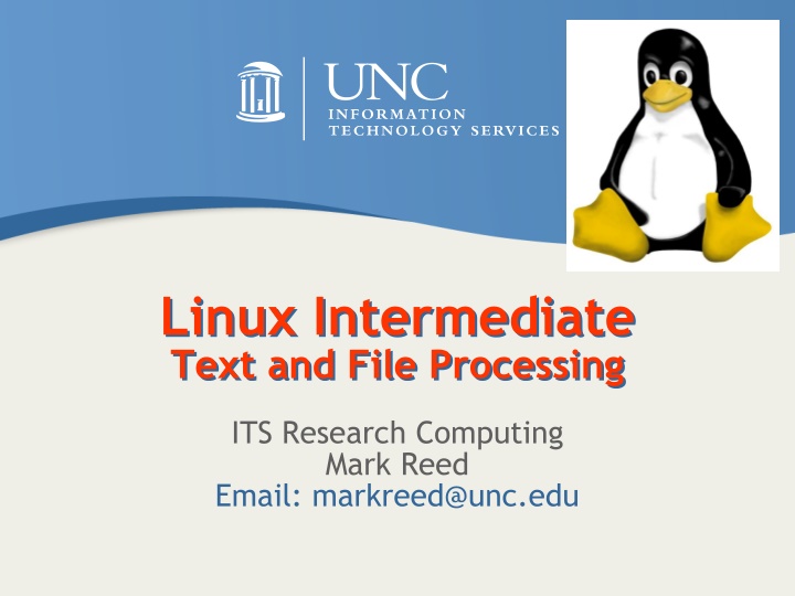 linux intermediate text and file processing