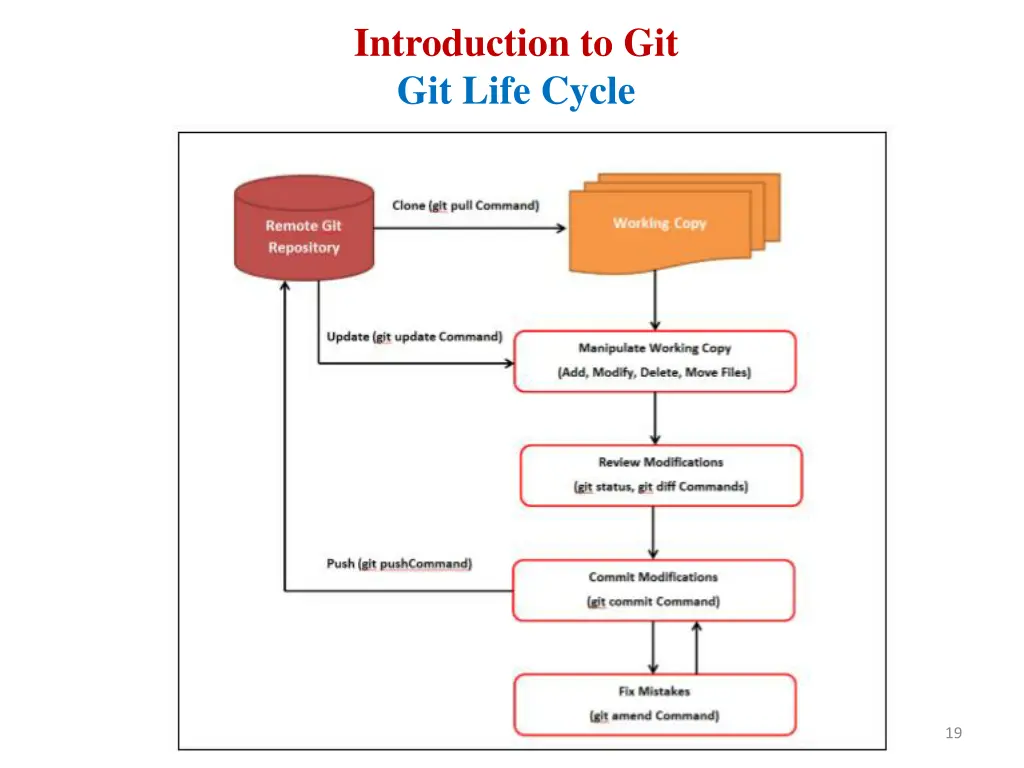 introduction to git git life cycle 1