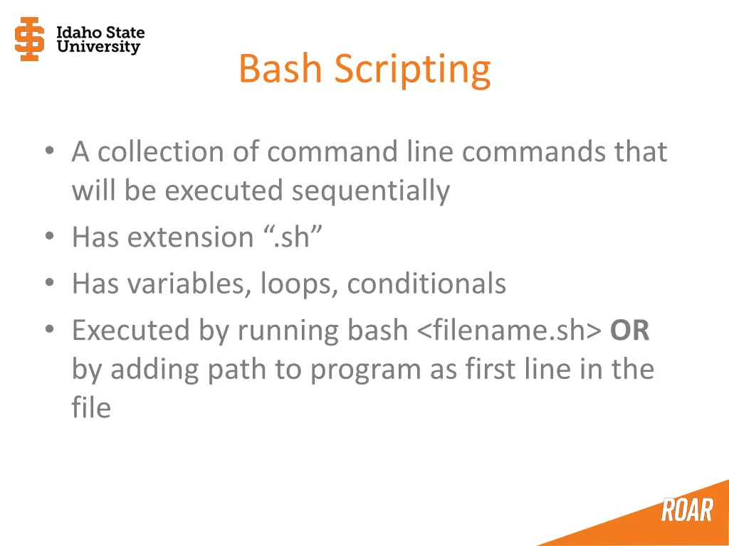 bash scripting