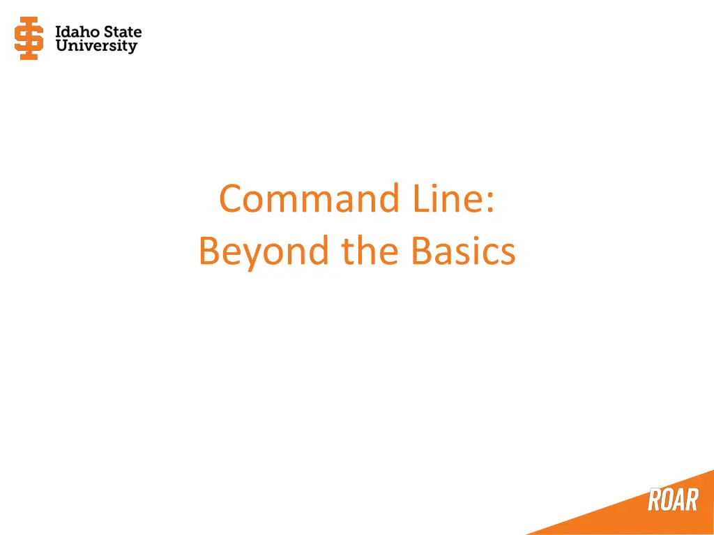 command line beyond the basics