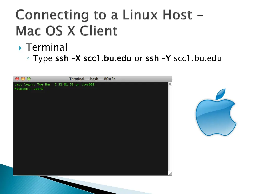 terminal type ssh