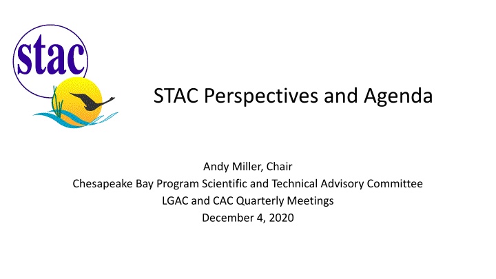 stac perspectives and agenda