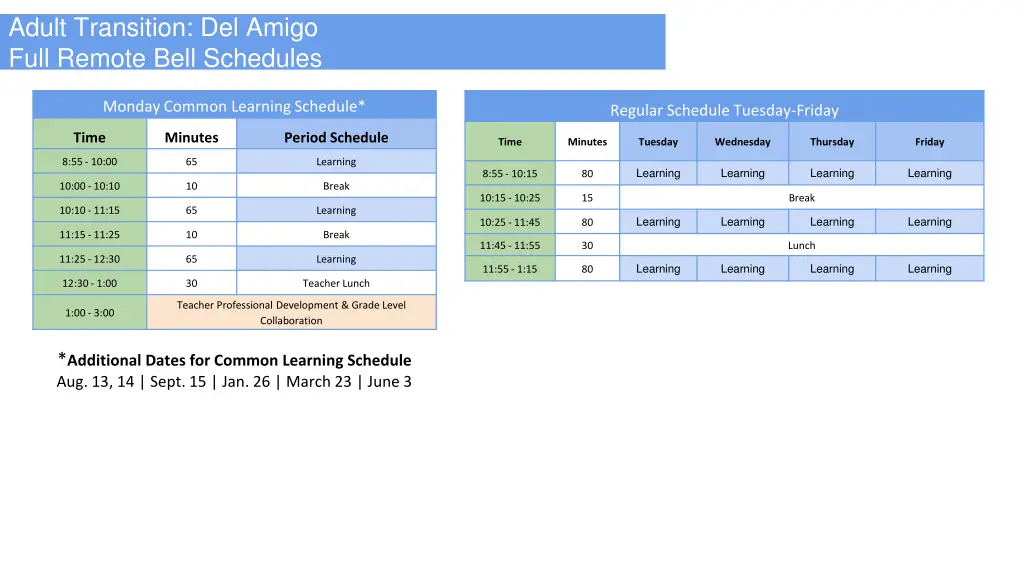 adult transition del amigo full remote bell