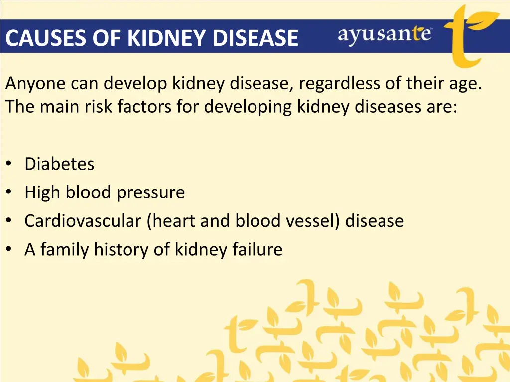 causes of kidney disease