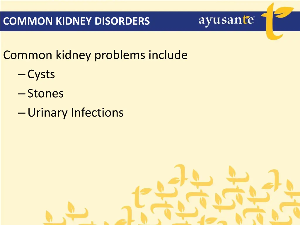 common kidney disorders