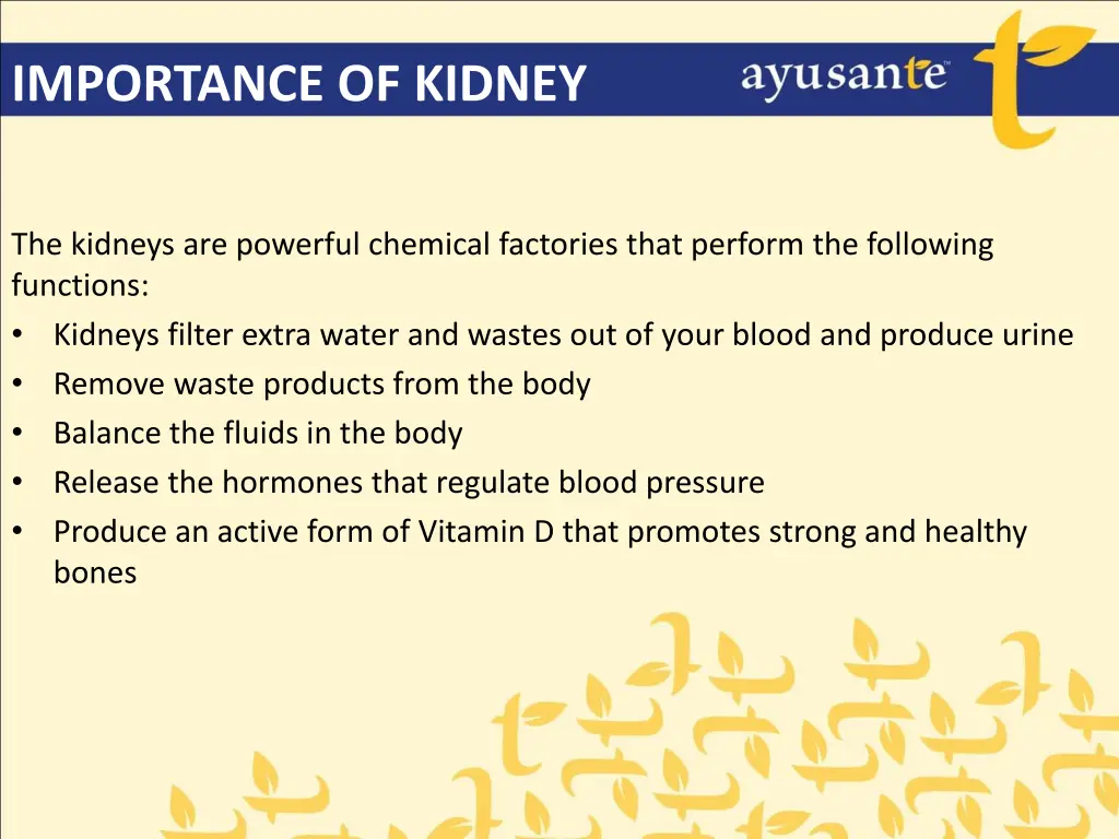 importance of kidney