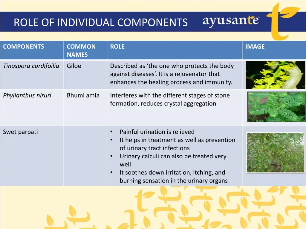 role of individual components 1