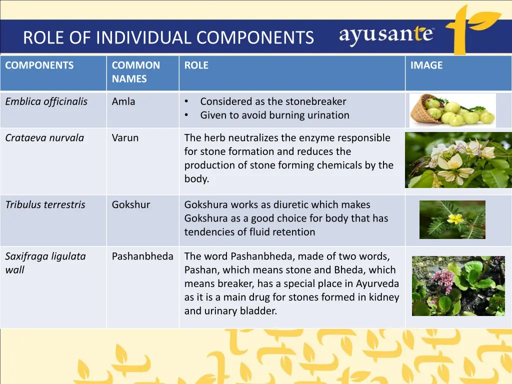 role of individual components