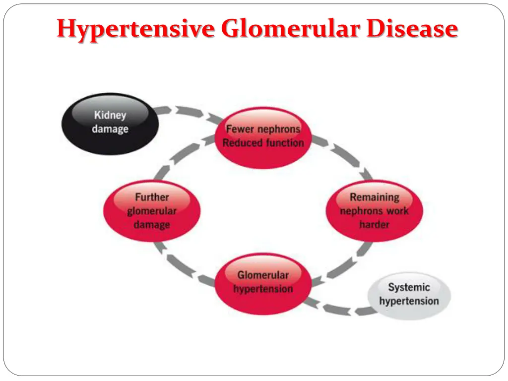 hypertensive glomerular disease 2