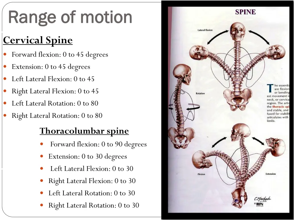 range of motion range of motion