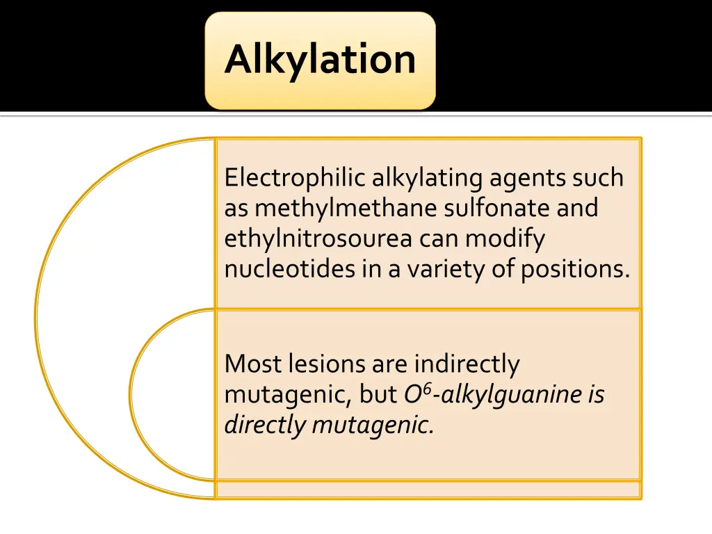 alkylation