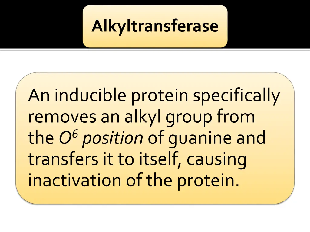 alkyltransferase