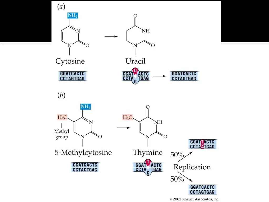 figure 18 8