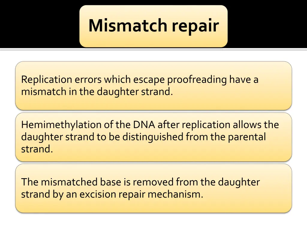 mismatch repair