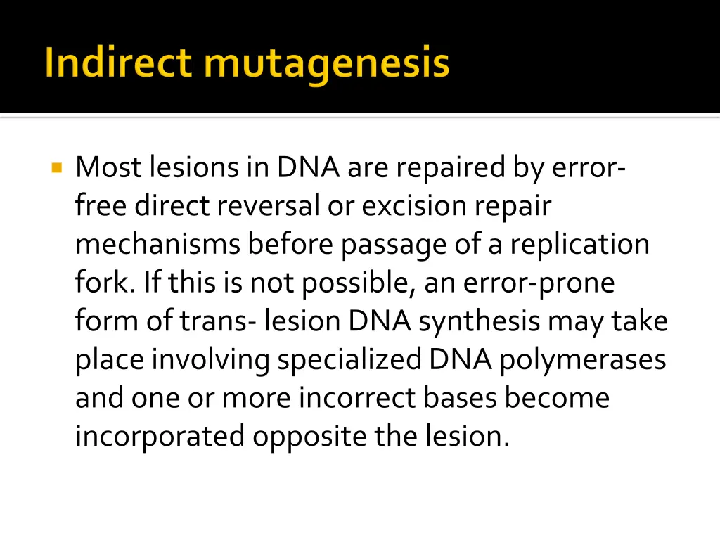 most lesions in dna are repaired by error free