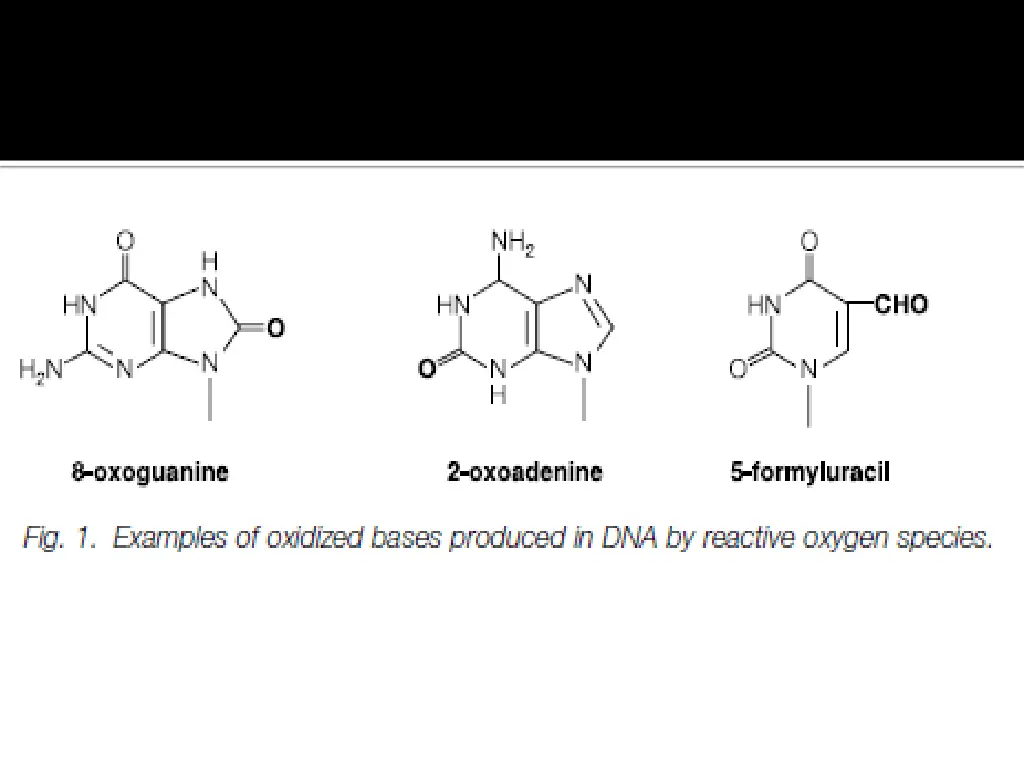 slide13