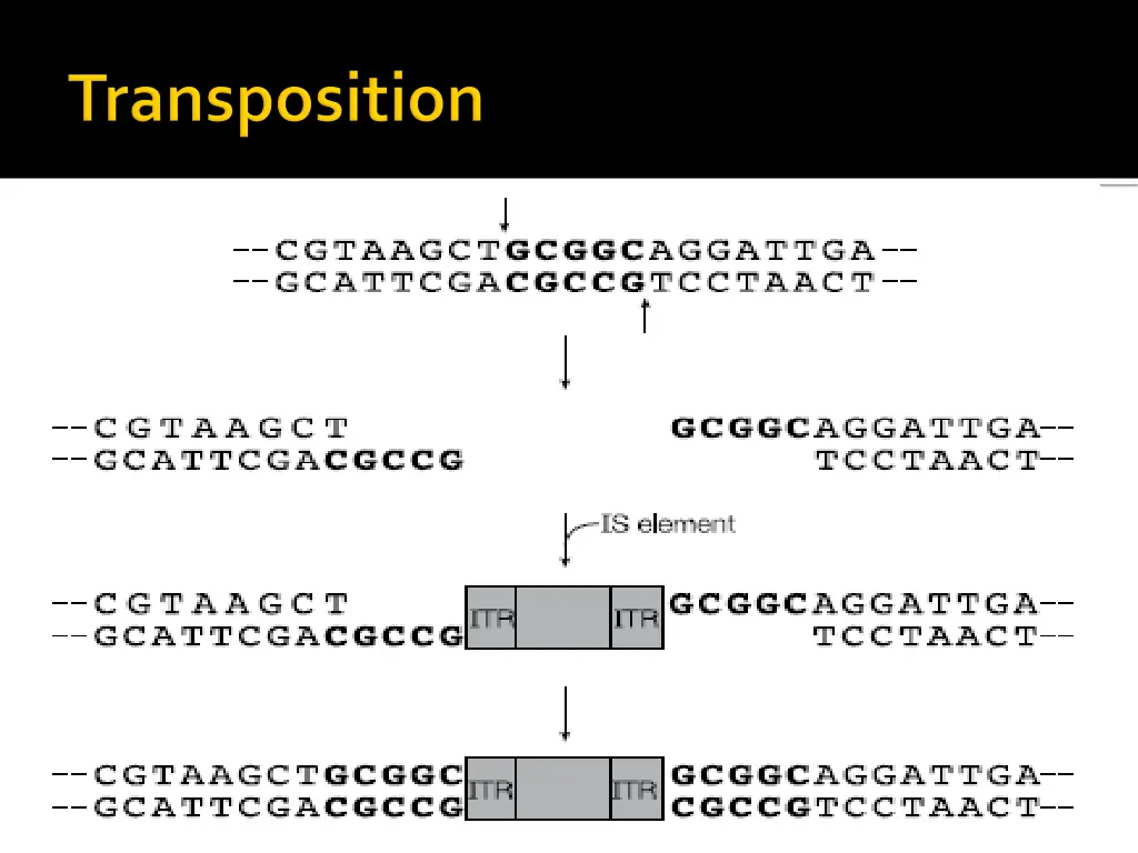 slide29