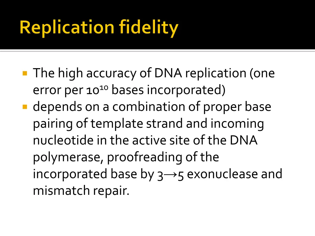 the high accuracy of dna replication one error