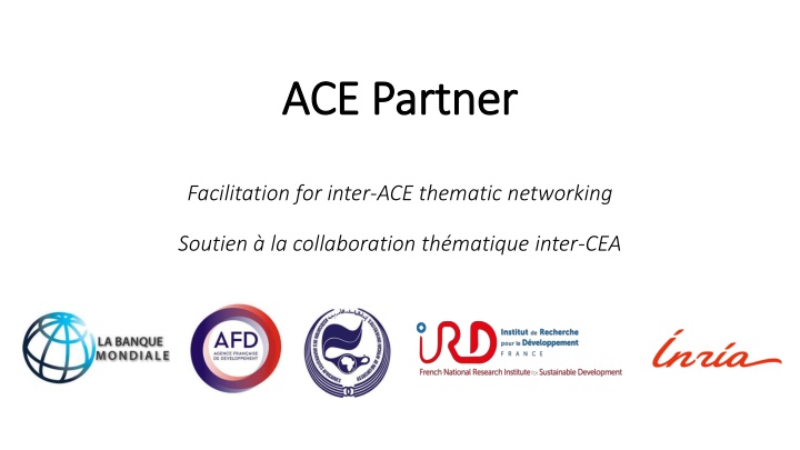 ace partner ace partner