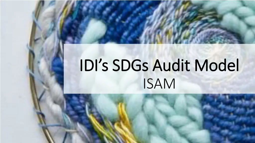 idi s idi s sdgs sdgs audit model audit model isam