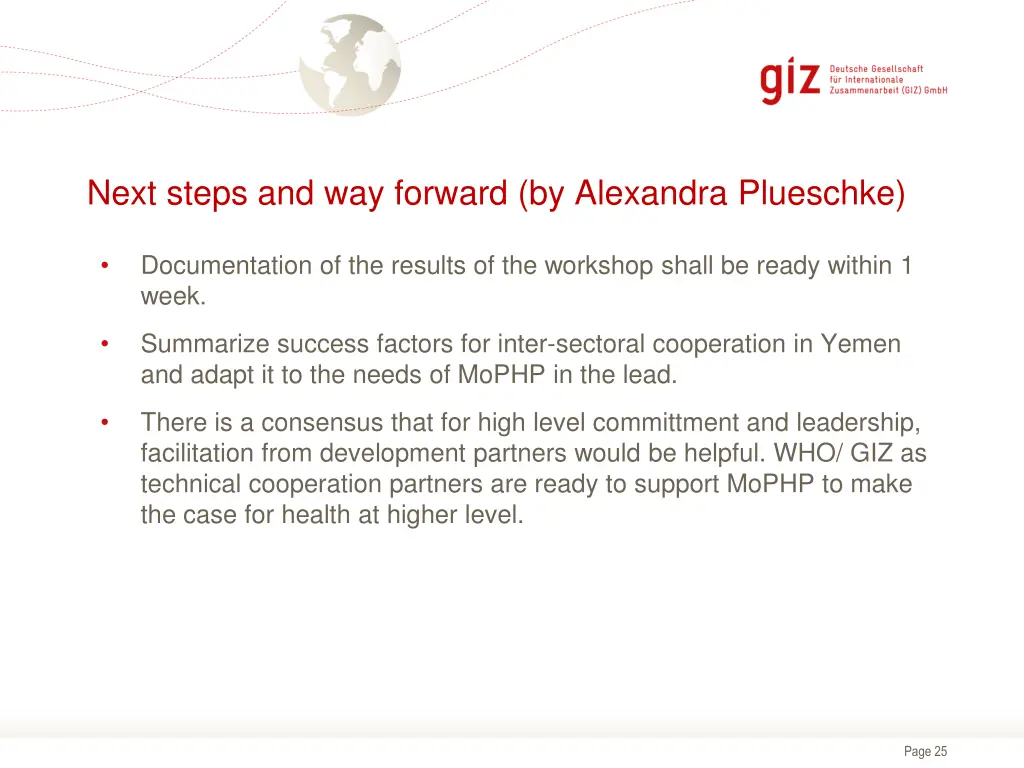 next steps and way forward by alexandra plueschke