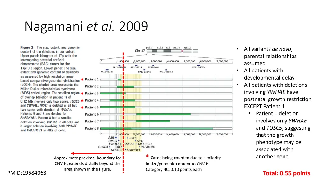 nagamani et al 2009