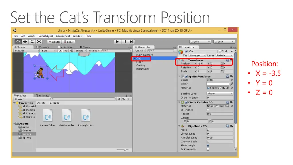 set the cat s transform position