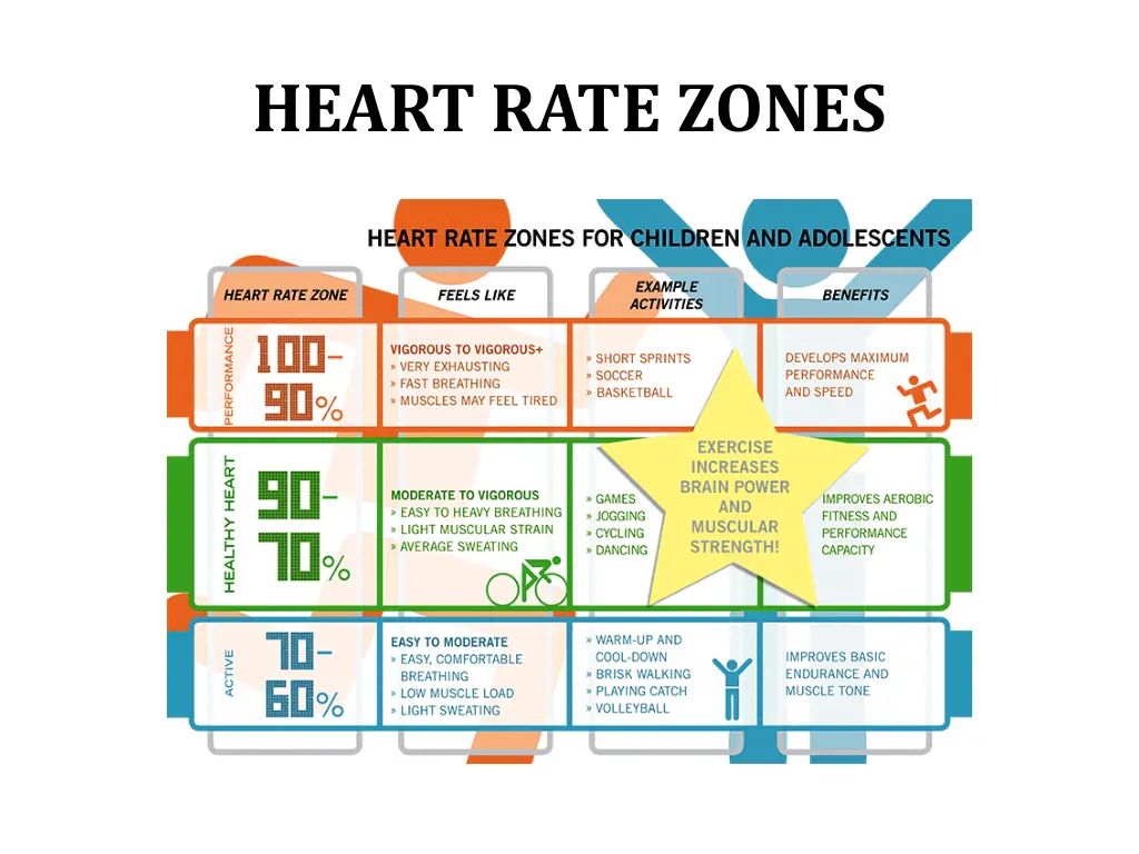 heart rate zones