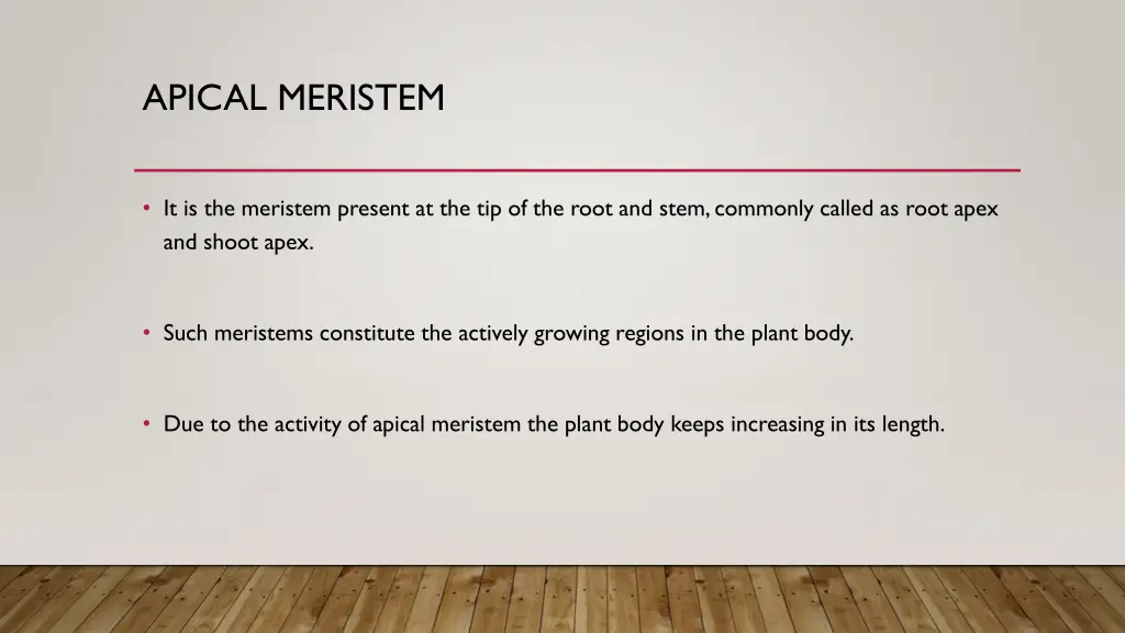 apical meristem