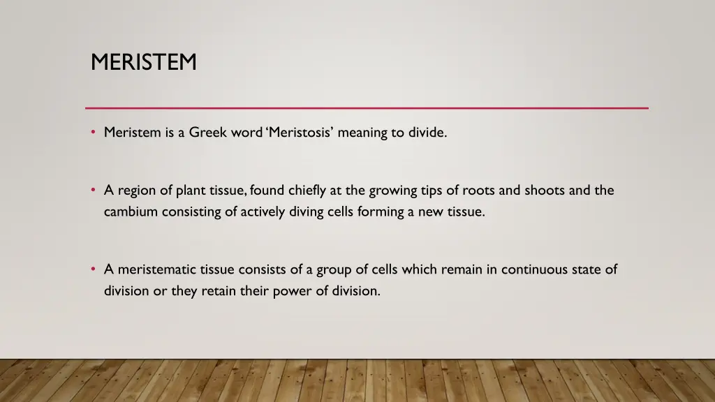 meristem