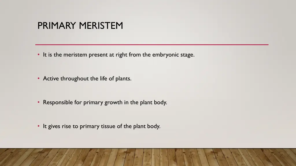 primary meristem