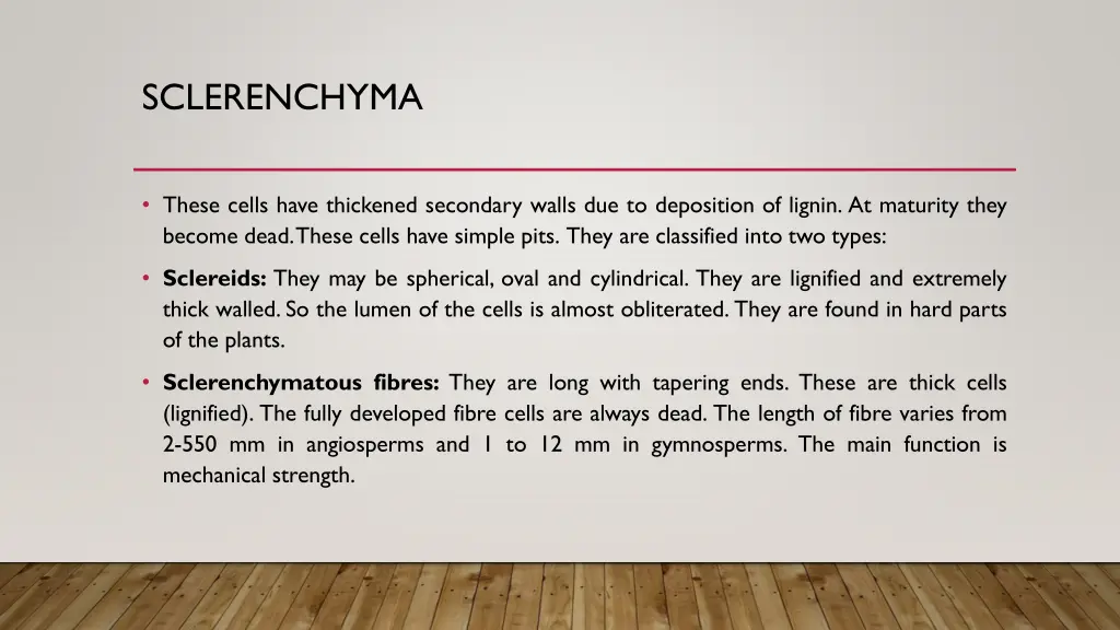 sclerenchyma