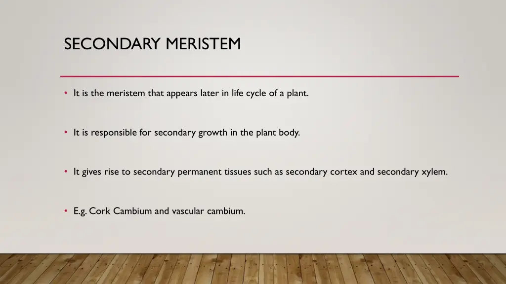 secondary meristem