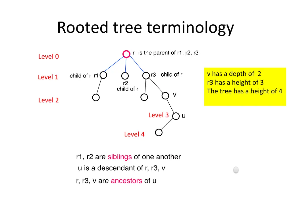 rooted tree terminology