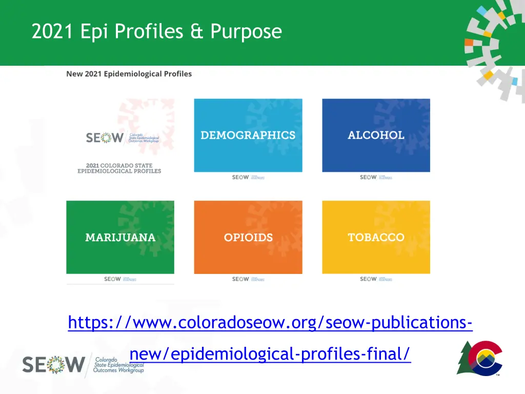 2021 epi profiles purpose