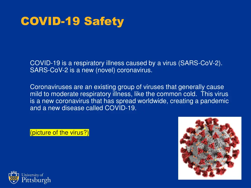 covid 19 safety 2