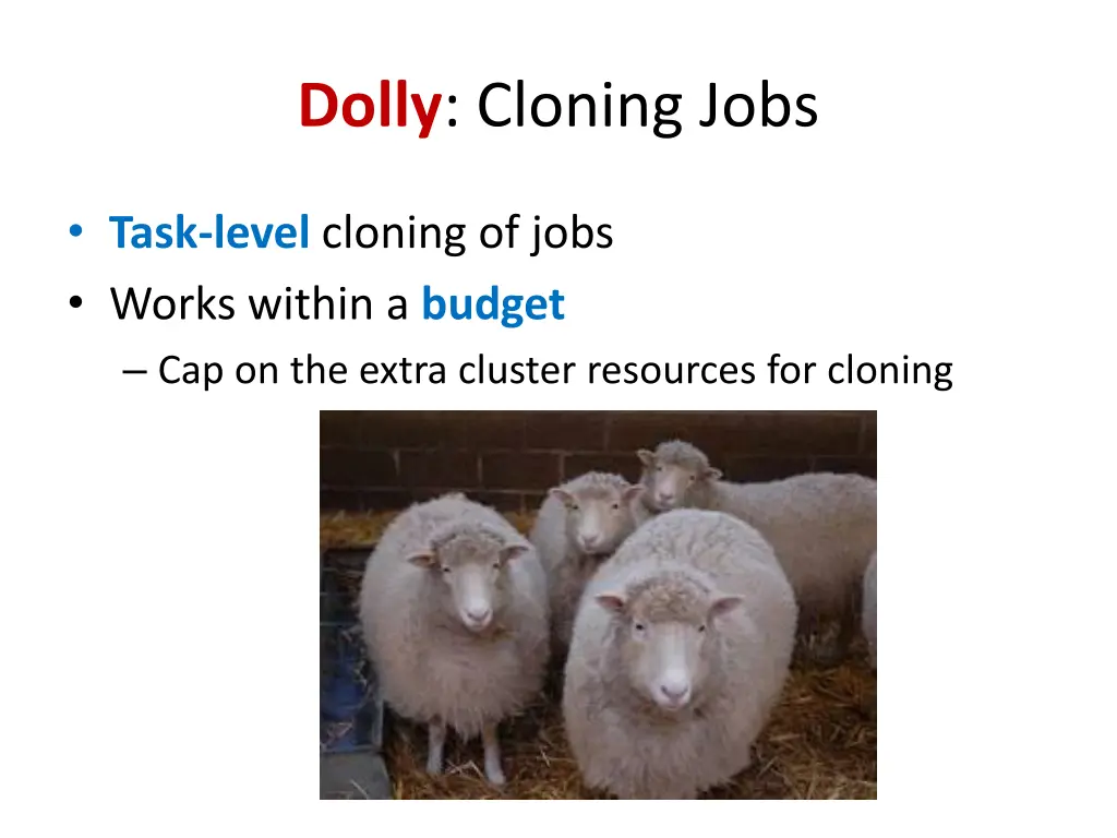 dolly cloning jobs